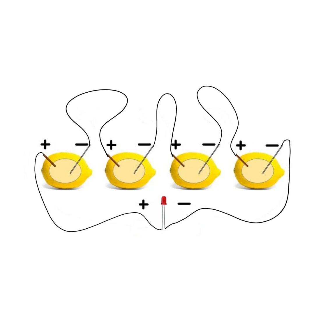 Circuit diagram for the Fruit Battery STEM Kit using lemons to demonstrate how to connect a series of fruits to light an LED bulb, showcasing STEM learning in action.